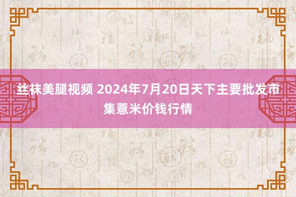 丝袜美腿视频 2024年7月20日天下主要批发市集薏米价钱行情