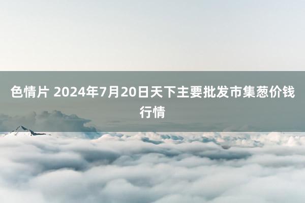 色情片 2024年7月20日天下主要批发市集葱价钱行情