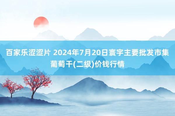 百家乐涩涩片 2024年7月20日寰宇主要批发市集葡萄干(二级)价钱行情