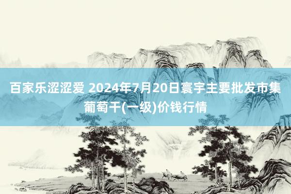 百家乐涩涩爱 2024年7月20日寰宇主要批发市集葡萄干(一级)价钱行情