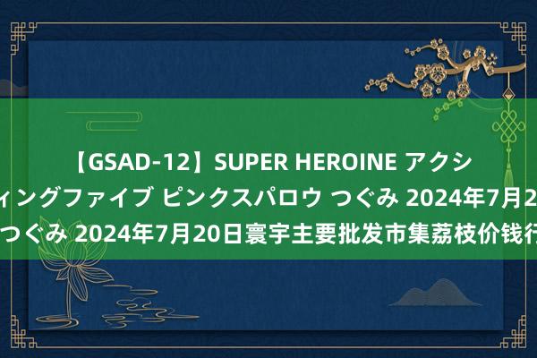 【GSAD-12】SUPER HEROINE アクションウォーズ 超翼戦隊ウィングファイブ ピンクスパロウ つぐみ 2024年7月20日寰宇主要批发市集荔枝价钱行情