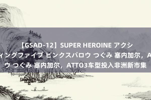 【GSAD-12】SUPER HEROINE アクションウォーズ 超翼戦隊ウィングファイブ ピンクスパロウ つぐみ 塞内加尔，ATTO3车型投入非洲新市集