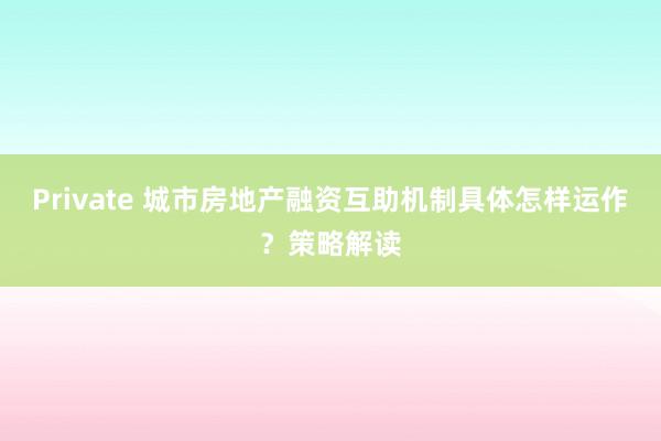 Private 城市房地产融资互助机制具体怎样运作？策略解读