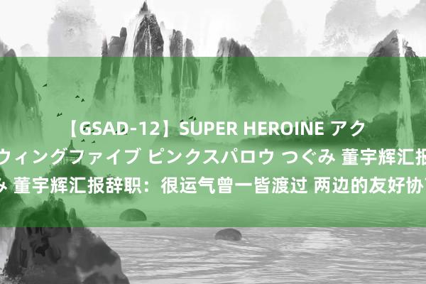 【GSAD-12】SUPER HEROINE アクションウォーズ 超翼戦隊ウィングファイブ ピンクスパロウ つぐみ 董宇辉汇报辞职：很运气曾一皆渡过 两边的友好协商和一致决定