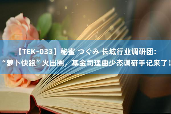 【TEK-033】秘蜜 つぐみ 长城行业调研团：“萝卜快跑”火出圈，基金司理曲少杰调研手记来了！