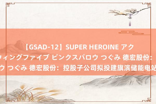 【GSAD-12】SUPER HEROINE アクションウォーズ 超翼戦隊ウィングファイブ ピンクスパロウ つぐみ 德宏股份：控股子公司拟投建旗滨储能电站形态