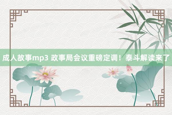 成人故事mp3 政事局会议重磅定调！泰斗解读来了