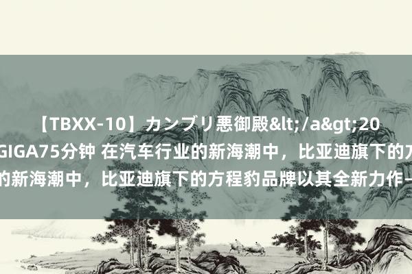 【TBXX-10】カンブリ悪御殿</a>2014-04-25GIGA&$GIGA75分钟 在汽车行业的新海潮中，比亚迪旗下的方程豹品牌以其全新力作——豹5，引