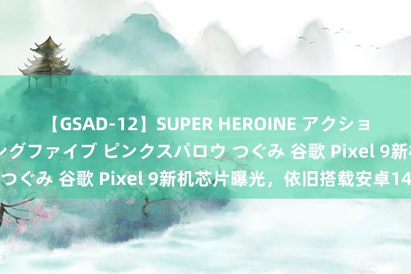 【GSAD-12】SUPER HEROINE アクションウォーズ 超翼戦隊ウィングファイブ ピンクスパロウ つぐみ 谷歌 Pixel 9新机芯片曝光，依旧搭载安卓14