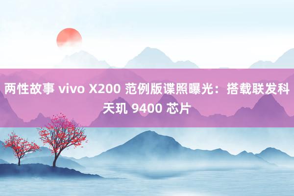 两性故事 vivo X200 范例版谍照曝光：搭载联发科天玑 9400 芯片