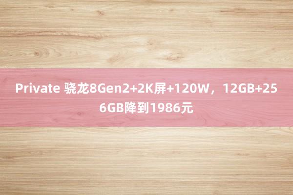 Private 骁龙8Gen2+2K屏+120W，12GB+256GB降到1986元