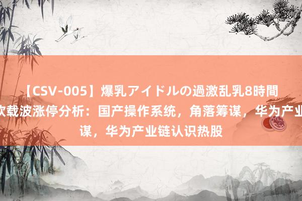 【CSV-005】爆乳アイドルの過激乱乳8時間 8月15日东软载波涨停分析：国产操作系统，角落筹谋，华为产业链认识热股