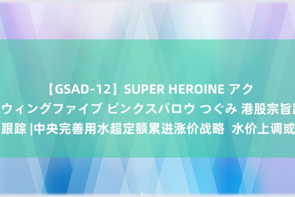 【GSAD-12】SUPER HEROINE アクションウォーズ 超翼戦隊ウィングファイブ ピンクスパロウ つぐみ 港股宗旨跟踪 |中央完善用水超定额累进涨价战略  水价上调或是当年趋势（附宗旨股）