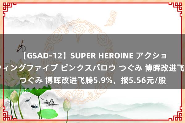 【GSAD-12】SUPER HEROINE アクションウォーズ 超翼戦隊ウィングファイブ ピンクスパロウ つぐみ 博晖改进飞腾5.9%，报5.56元/股