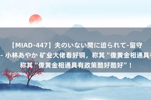 【MIAD-447】夫のいない間に迫られて-留守中に寝取られた私- 小林あやか 矿业大佬看好铜，称其“像黄金相通具有政策酷好酷好”！