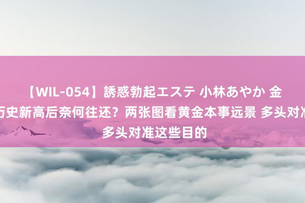 【WIL-054】誘惑勃起エステ 小林あやか 金价暴涨创历史新高后奈何往还？两张图看黄金本事远景 多头对准这些目的