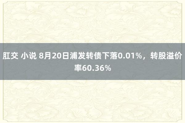 肛交 小说 8月20日浦发转债下落0.01%，转股溢价率60.36%