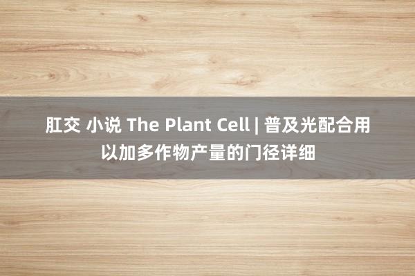 肛交 小说 The Plant Cell | 普及光配合用以加多作物产量的门径详细