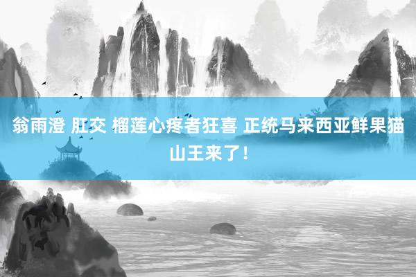 翁雨澄 肛交 榴莲心疼者狂喜 正统马来西亚鲜果猫山王来了！