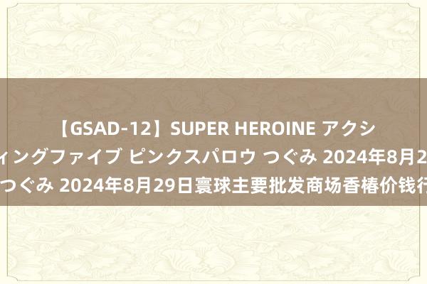 【GSAD-12】SUPER HEROINE アクションウォーズ 超翼戦隊ウィングファイブ ピンクスパロウ つぐみ 2024年8月29日寰球主要批发商场香椿价钱行情