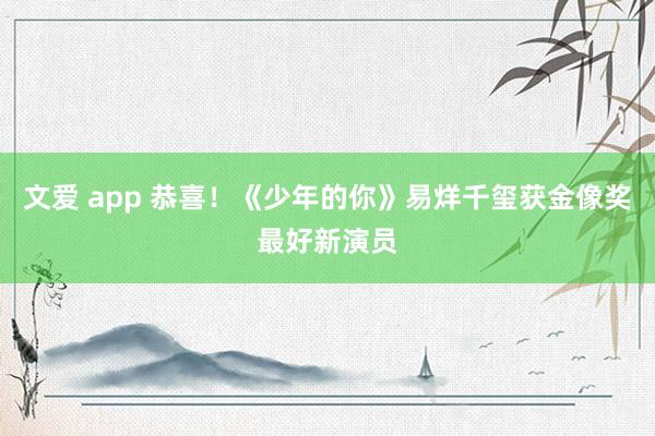 文爱 app 恭喜！《少年的你》易烊千玺获金像奖最好新演员