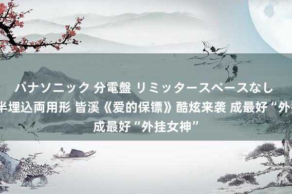 パナソニック 分電盤 リミッタースペースなし 露出・半埋込両用形 皆溪《爱的保镖》酷炫来袭 成最好“外挂女神”