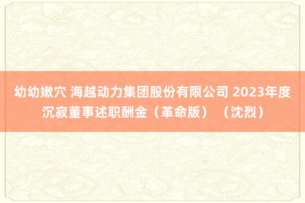 幼幼嫩穴 海越动力集团股份有限公司 2023年度沉寂董事述职酬金（革命版） （沈烈）