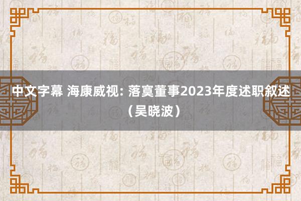 中文字幕 海康威视: 落寞董事2023年度述职叙述（吴晓波）