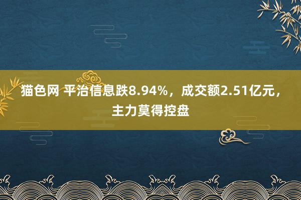 猫色网 平治信息跌8.94%，成交额2.51亿元，主力莫得控盘